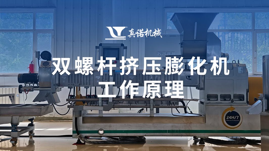 雙螺桿擠壓膨化機工作原理