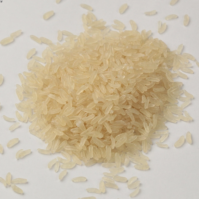 濟(jì)南真諾機(jī)械魔芋米生產(chǎn)線
