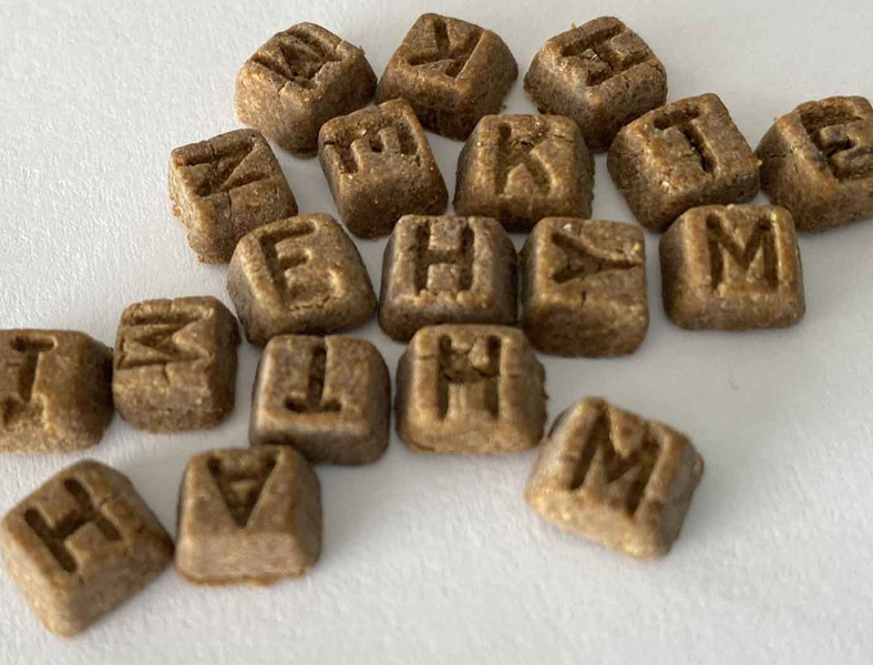 雙螺桿擠壓膨化機驅動寵物食品生產創新