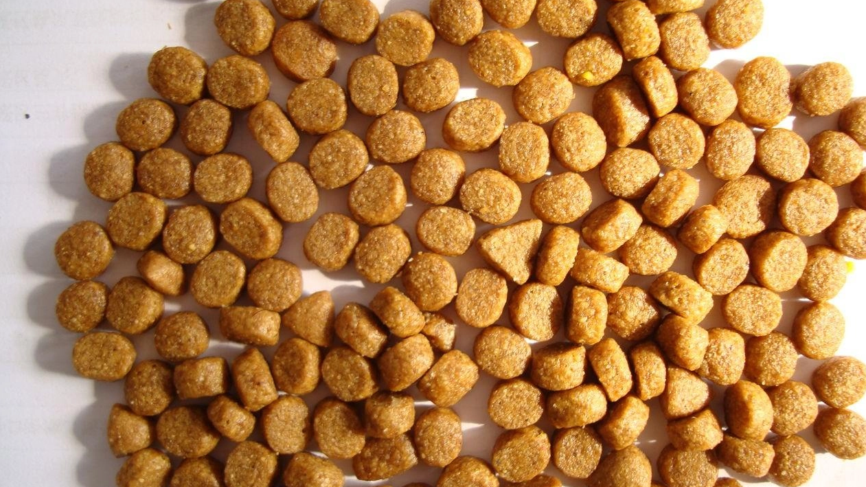 膨化機技術(shù)革新：如何調(diào)控魚飼料沉浮性
