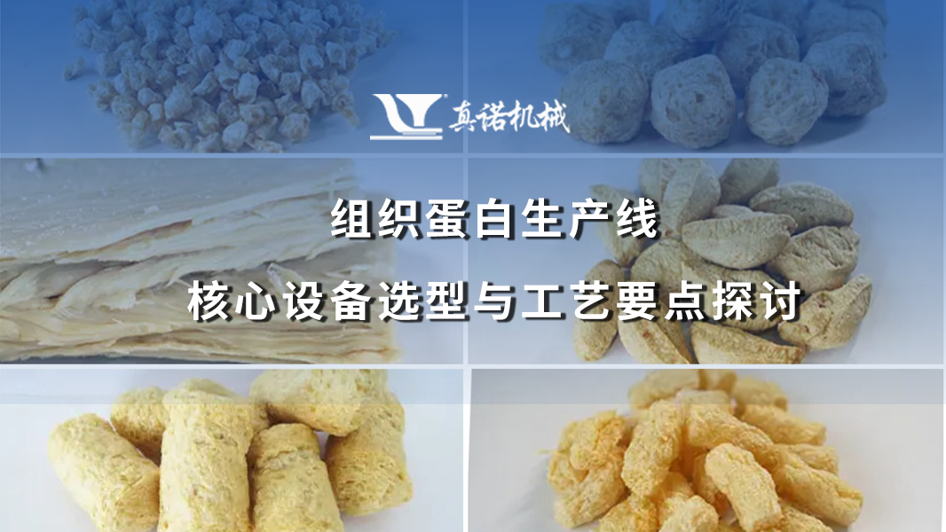 组织蛋白生产线核心设备选型与工艺要点探讨