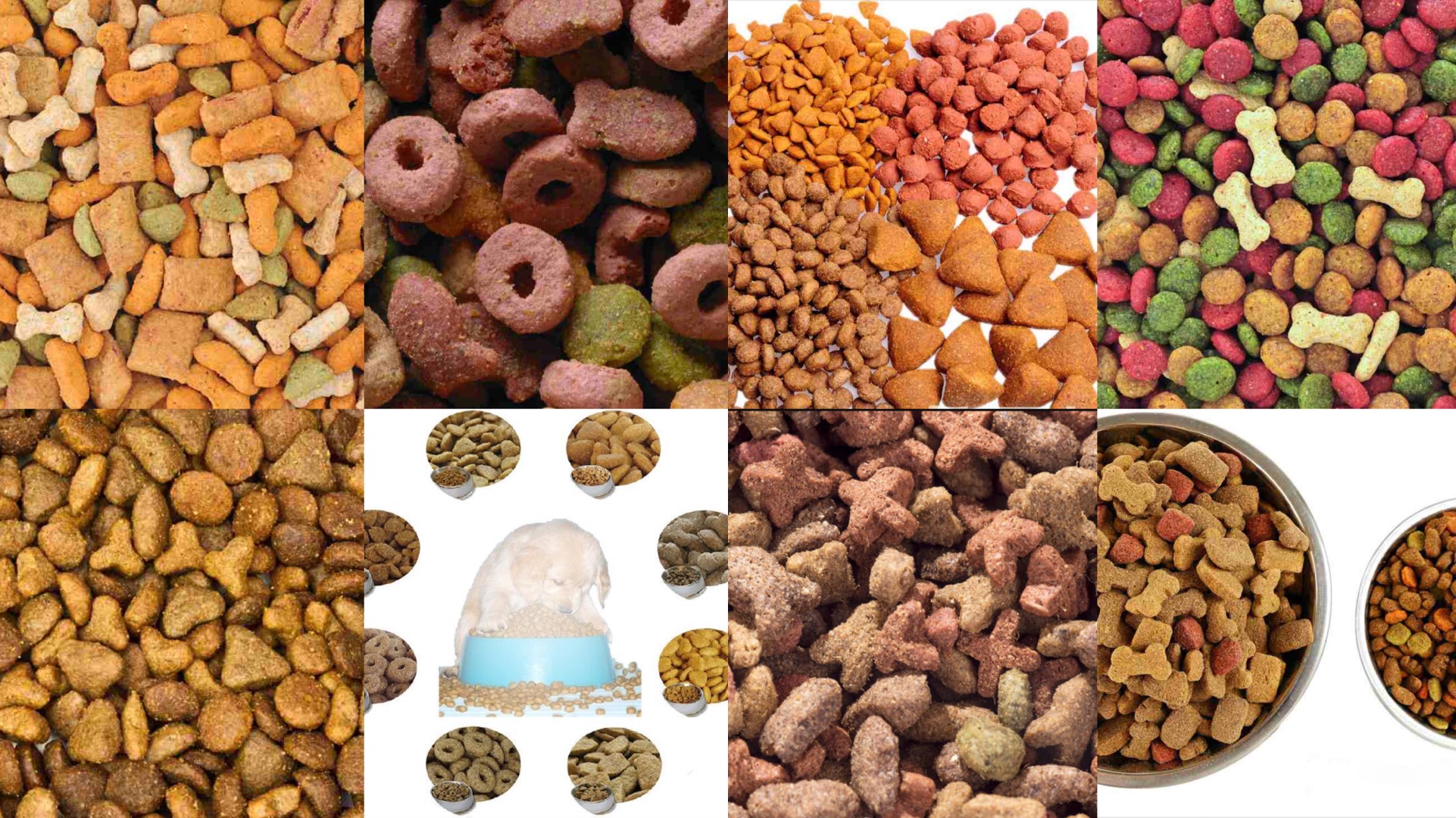 30e3436e-f6e4-4076-9423-a866a920f12d