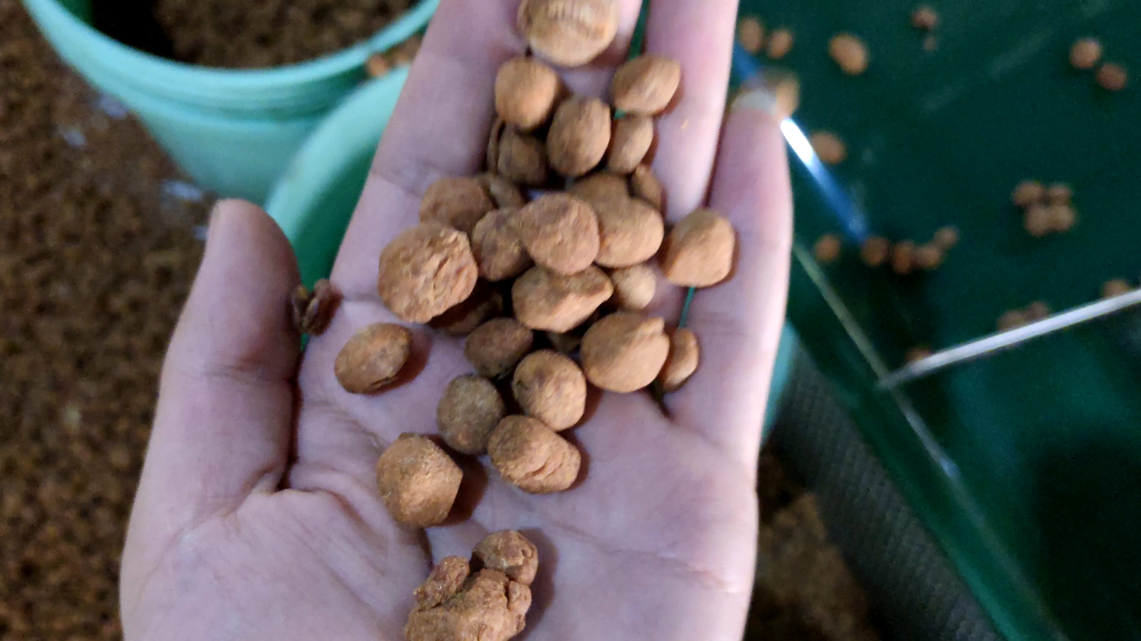 b08eb3f33491cde7f181344b5df052d